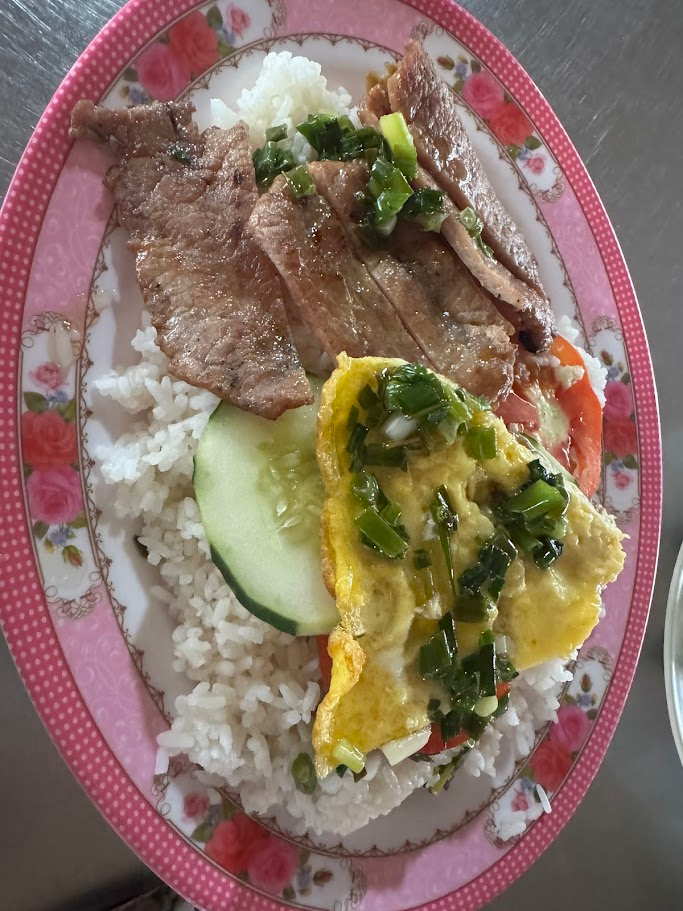 Simple pork + rice with egg